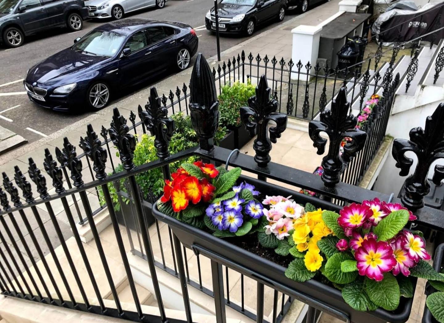 Sunny 1 Bedroom Flat In Central Londra Exterior foto